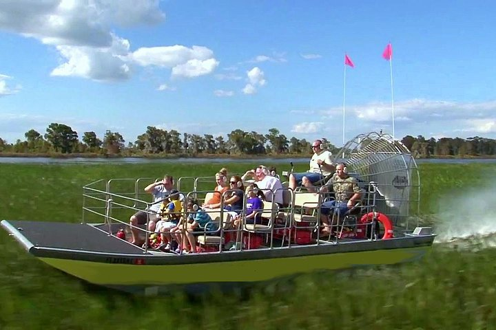 Have an adventure on a wild airboat ride